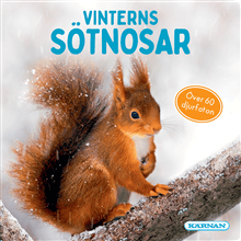 Vinterns sötnosar