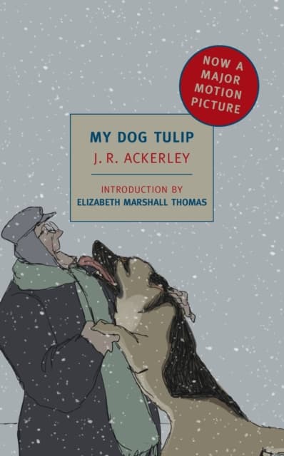 My dog tulip