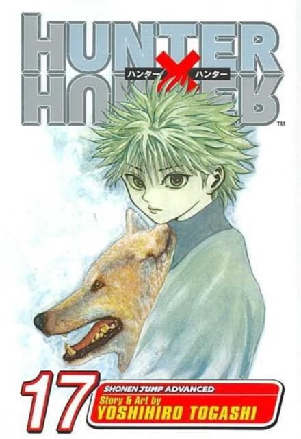 Hunter x hunter, vol. 17