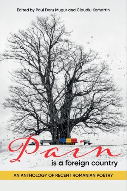 Pain Is a Foreign Country