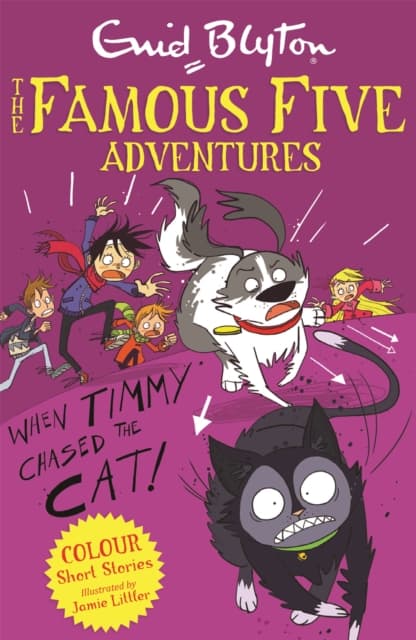 When timmy chased the cat