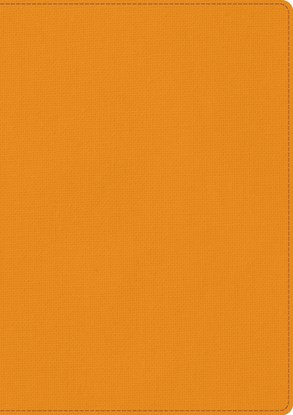 Skrivbok A5 PU linjerad orange