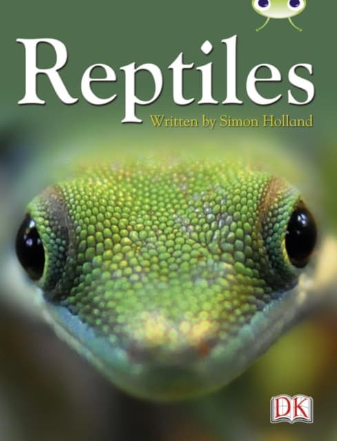 BC NF Red (KS2) B/5B Reptiles