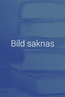 Polisens brottsdatalag : en kommentar