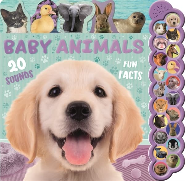 Baby Animals