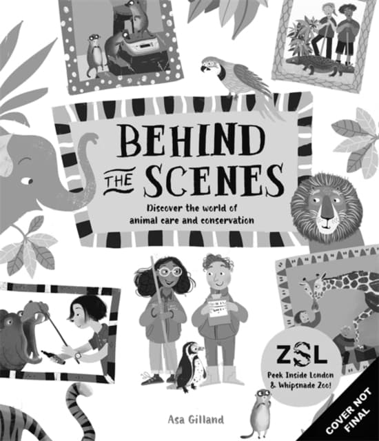 Behind the Scenes