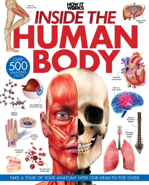 Inside the Human Body