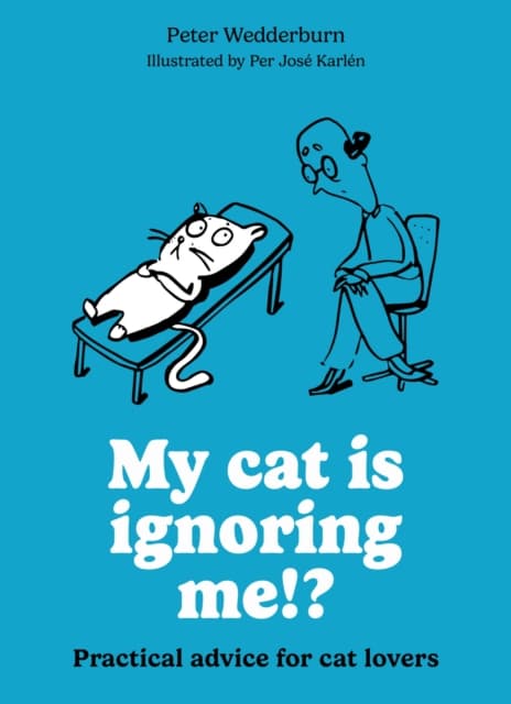 My cat is ignoring me!?