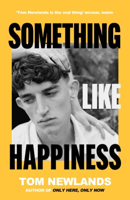 Something Like Happiness