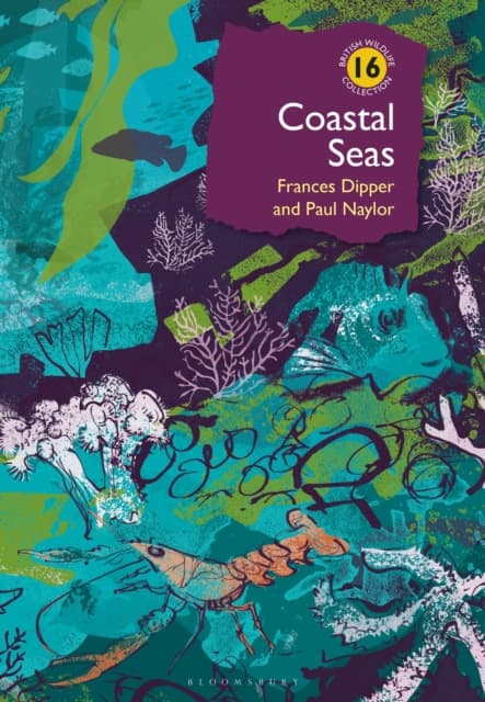 Coastal Seas