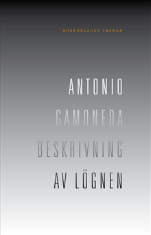 Beskrivning av lögnen