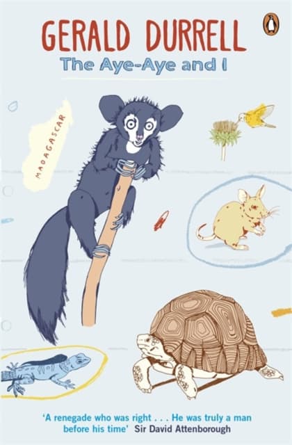 Aye-aye and i