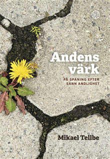 Andens värk : på spaning efter sann andlighet