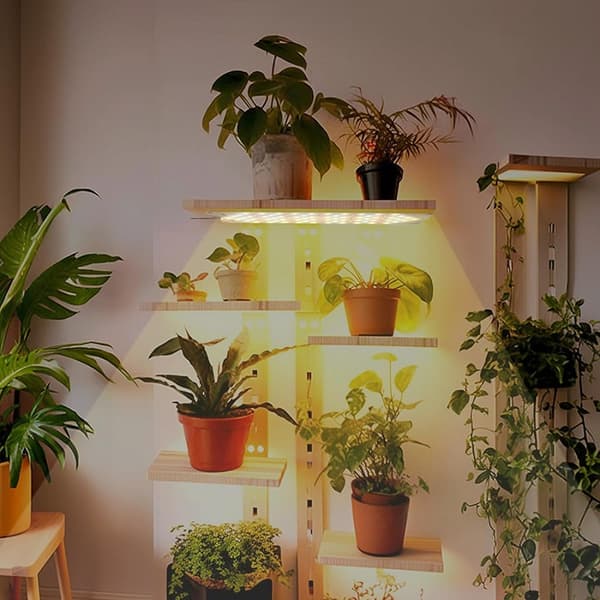 LED lyspaneler til planter - EU-adapter