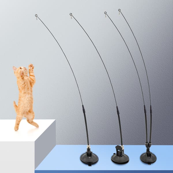 Cat Teaser Standard Model 1