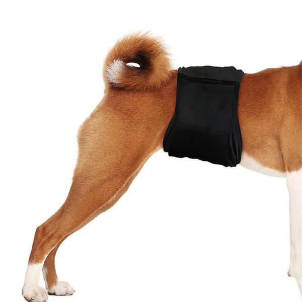 Behagelig og vaskbar hundeble Black XL