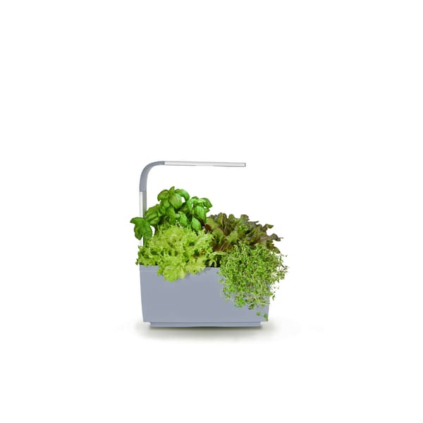 Kitchen Garden T6 Harmaa