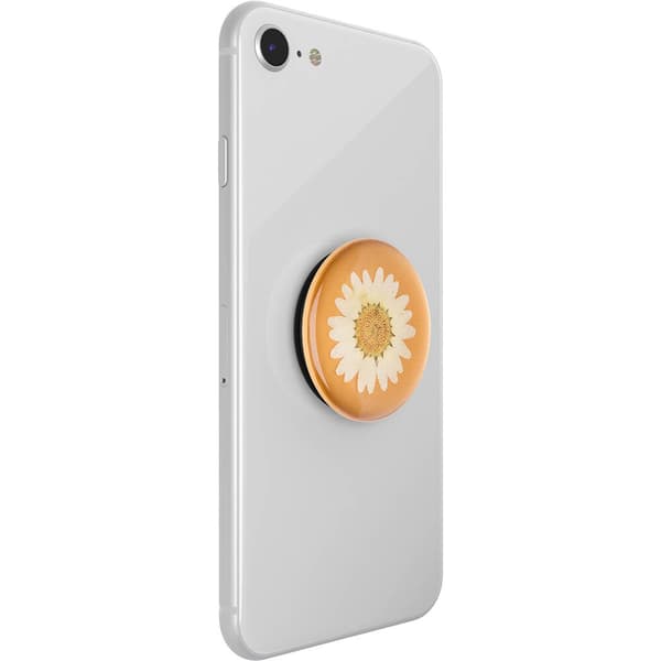 PopGrip PREMIUM Pressed Flower White Daisy