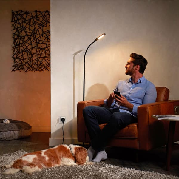 Hue Smart stik