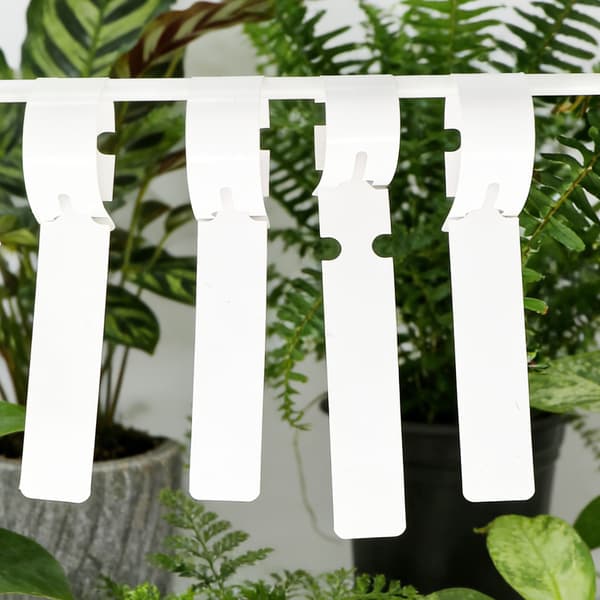Växtetiketter 100-pack White