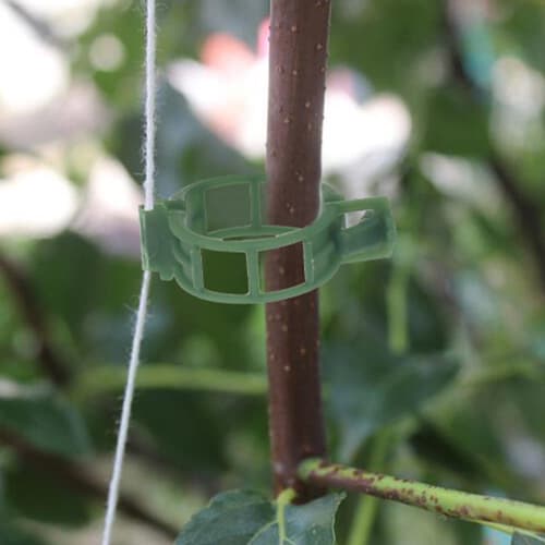 Klips for å støtte planter / espalier 100-pakning Green