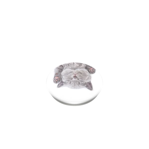 PopGrip Cat Nap