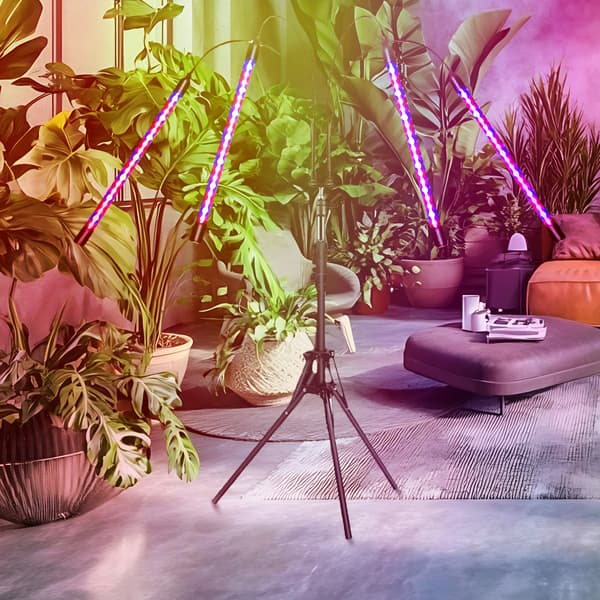 Sammenleggbar plantelampe med justerbart stativ og timer Black