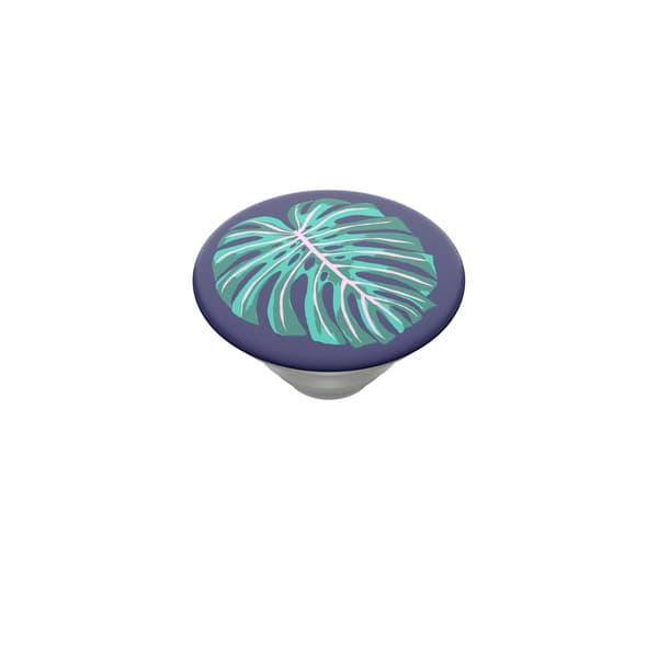 PopTop Vintage Palm Leaf