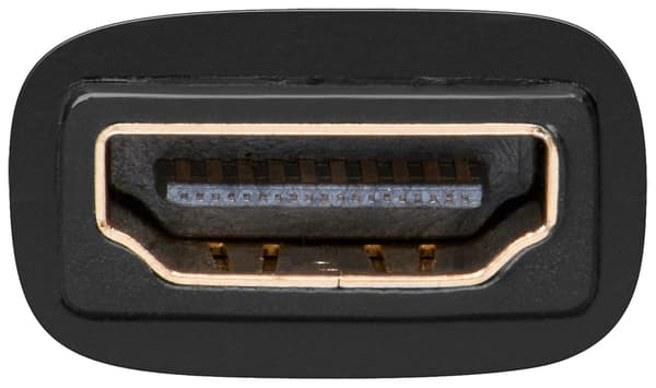 HDMIâ„¢/DVI-D-adapter, gullbelagt