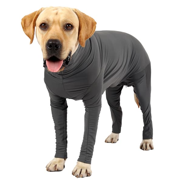Heldragt til hunde - justerbart design XXXL