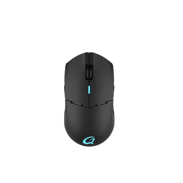 Gaming Mouse DX900