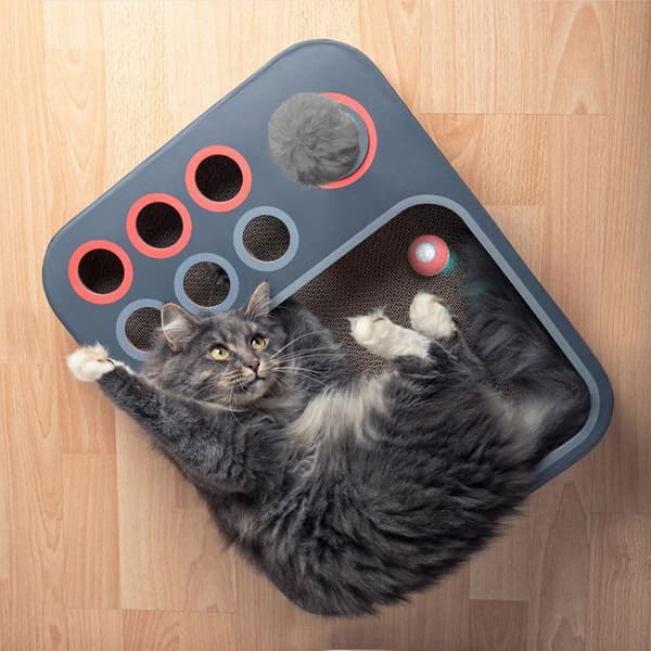 Labyrint og brætspil til katte