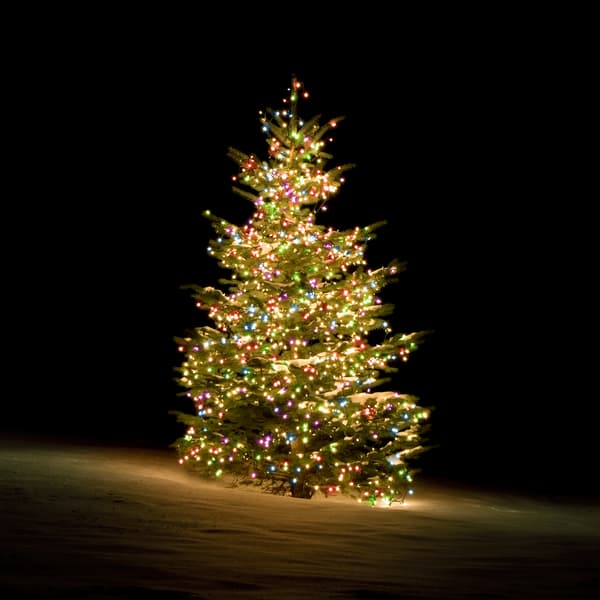 SMART HOME WiFi Tree light, 270L, 10 strings, 2m