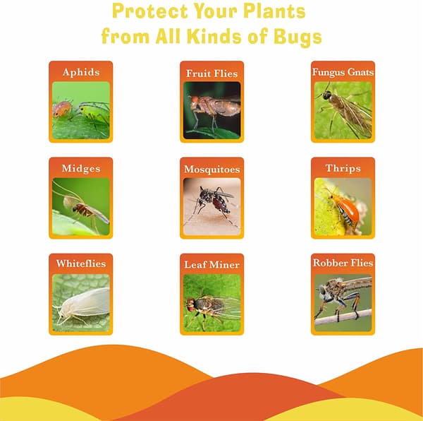 Flugfångare / Klibbig Insektsfälla, 20-pack