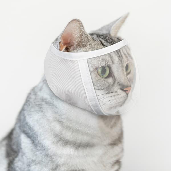 Kattenekurv for trimming og behandling White M