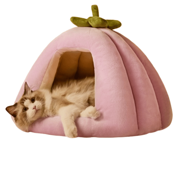 Mysig Kattgrotta - Grön - S S