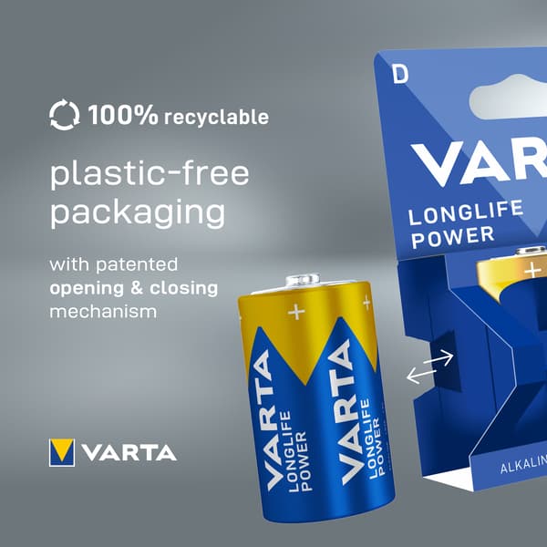 Longlife Power D 2-pack VLK