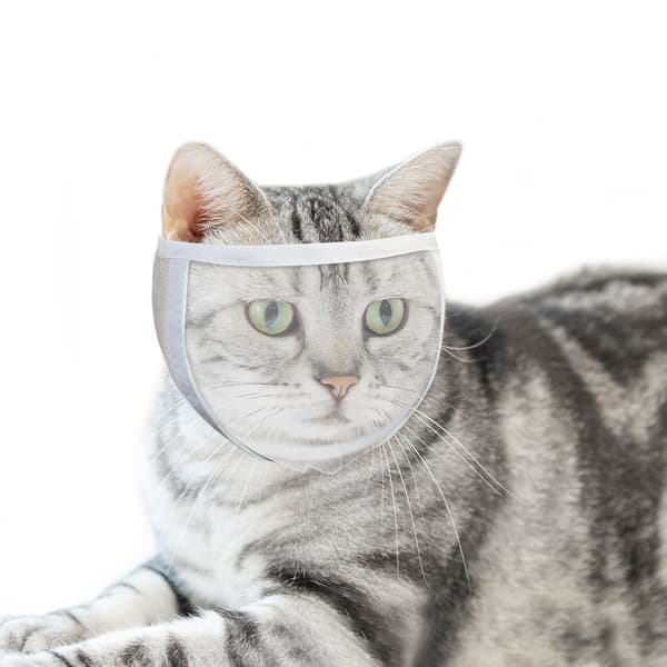 Kattmunkorg för trimning och behandling White M