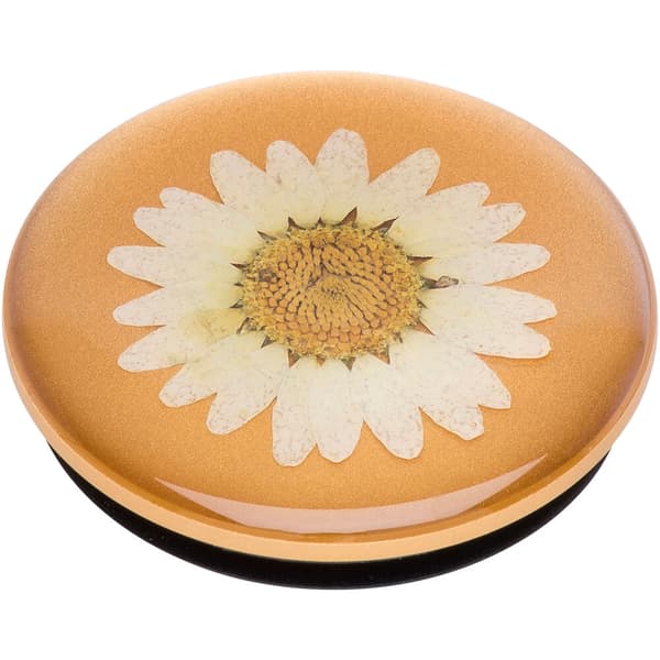 PopGrip PREMIUM Pressed Flower White Daisy