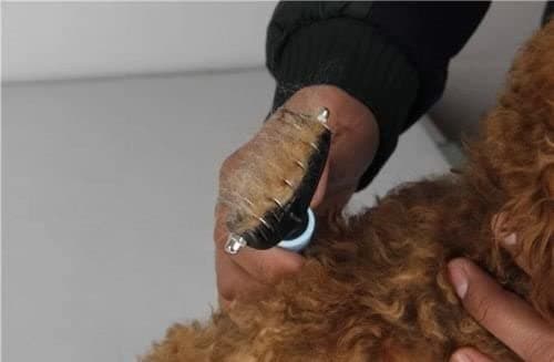 Filtfjerner underuldskam til hund og kat Black+Blue