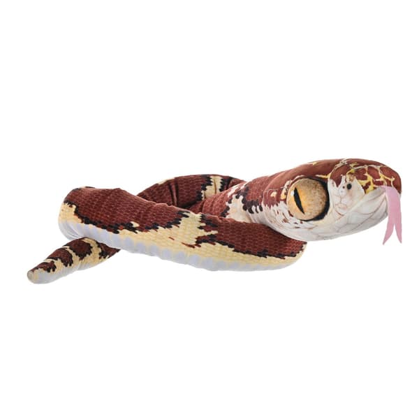 Bamse Snakes 137 cm Blunt Headed Imantodes Cenchoa