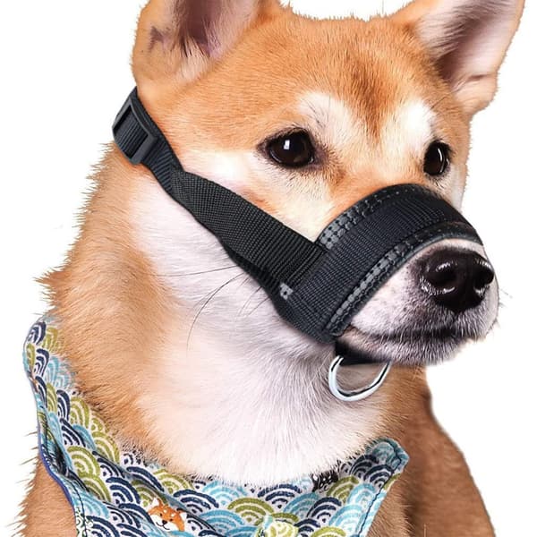 Næseparti til hunde S