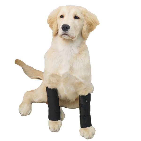 Pet Joint Protector JT2 - Sort til støtte af hunde L