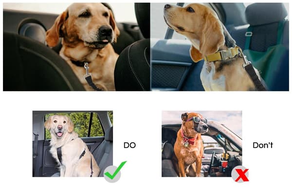 Justerbar sikkerhedssele til hund Sort
