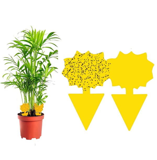 60-pack Flugfångare / Flugfälla / Klibbig insektsfälla Yellow