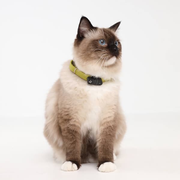 Punkkien suojaus Mini Cat