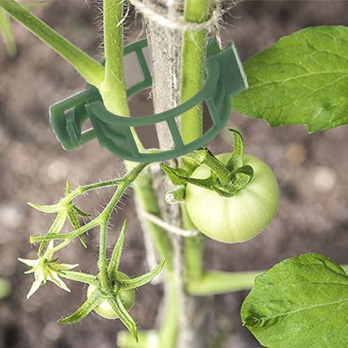 Stödjande Klämmor för Växter - 100 pack Green