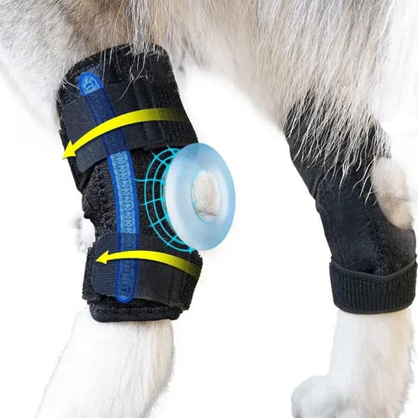 Hundknästöd Stöd för hundben L