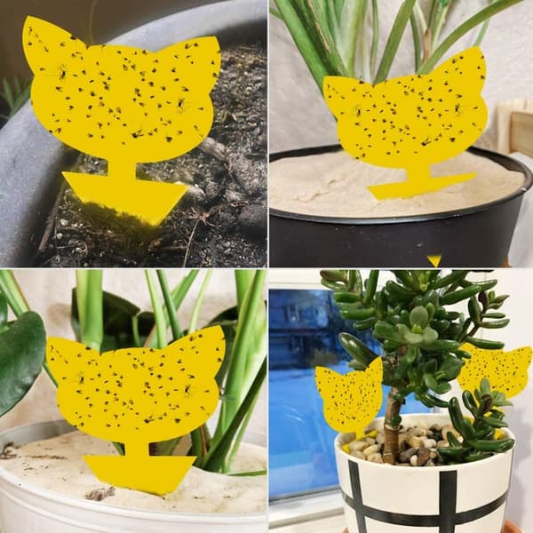 60-pack Flugfångare / Flugfälla / Klibbig insektsfälla Yellow