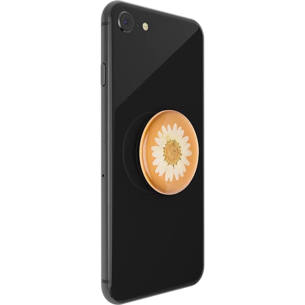 PopGrip PREMIUM Pressed Flower White Daisy